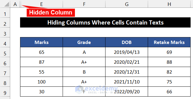 Hide Columns Where Cells Contain Texts with VBA