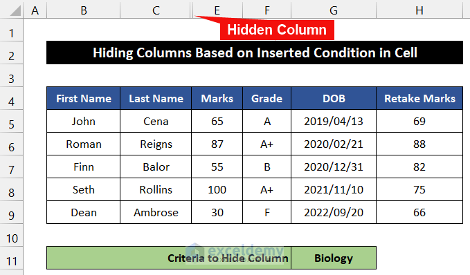 Hide Columns Based on Inserted Condition in Cell with VBA