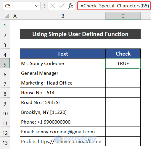 Using Simple User-Defined Function to Check If Cell Contains Special Character