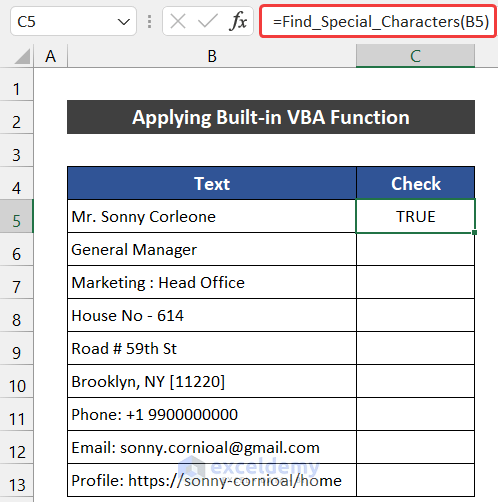 Applying Built-in VBA Function to Check If Cell Contains Special Character