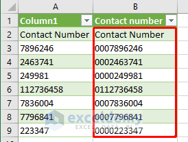 Use Power Query’s PadText Function to Add Leading Zeros in Excel to Make 10 Digits