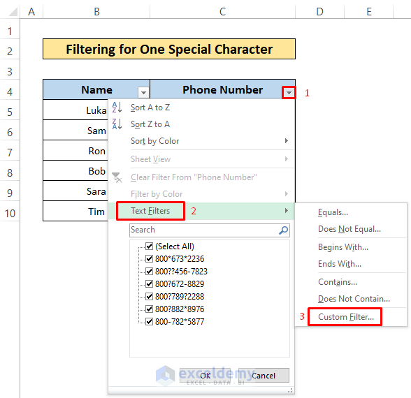 Using Custom Autofilter to Filter Special Characters in Excel