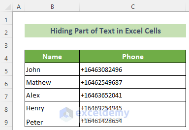 Sample Dataset to Hide Part of Text in Excel Cells