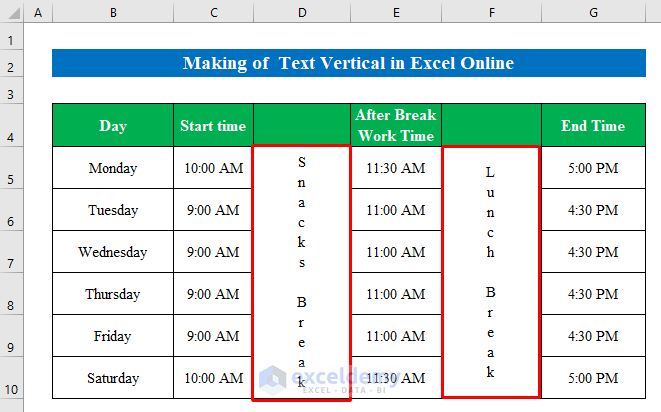 Make Text Vertical in Excel Online