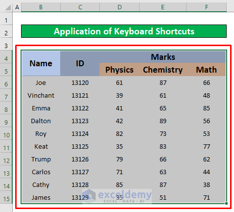 Use Keyboard Shortcuts to Remove Page Border in Excel