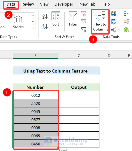 Using Text to Columns Feature