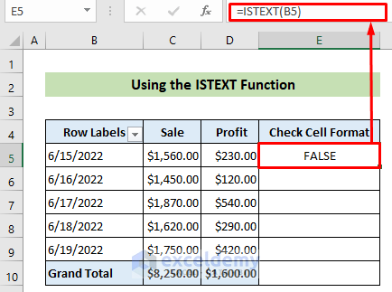Insert Formula to Check if B5 Cell is in Text Format