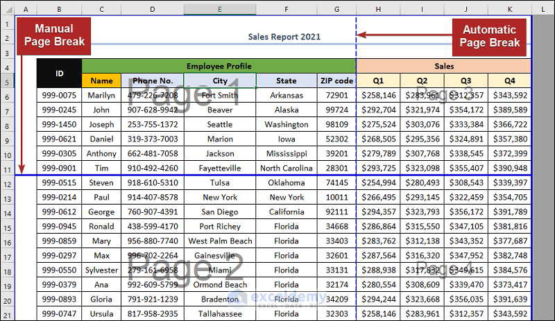 What Is Page Break View in Excel