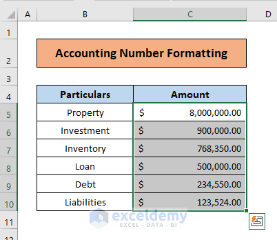 What is Accounting Number Format