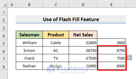 Replace Special Characters in Excel Using Flash Fill Feature
