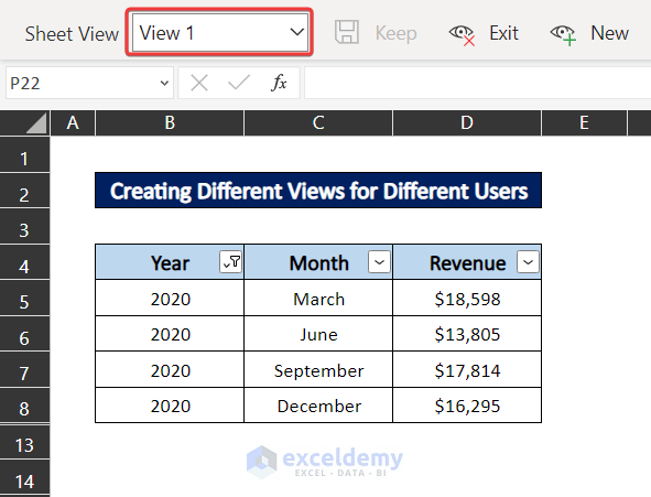 excel different views for different users