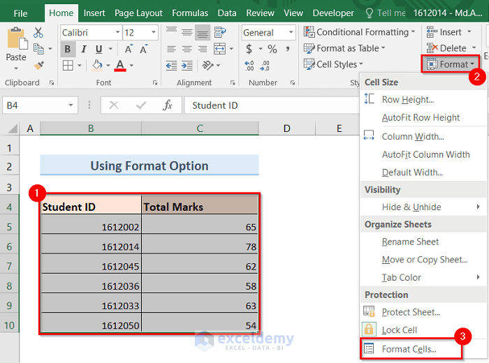 Using Format Option to Apply Center Horizontal Alignment in Excel