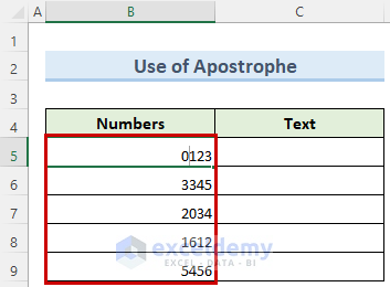 Step-by-Step Procedures to Convert Number to Text in Excel with Apostrophe