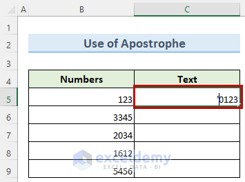 Step-by-Step Procedures to Convert Number to Text in Excel with Apostrophe