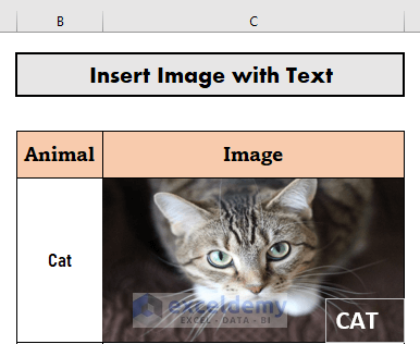 how to insert picture in excel cell with text