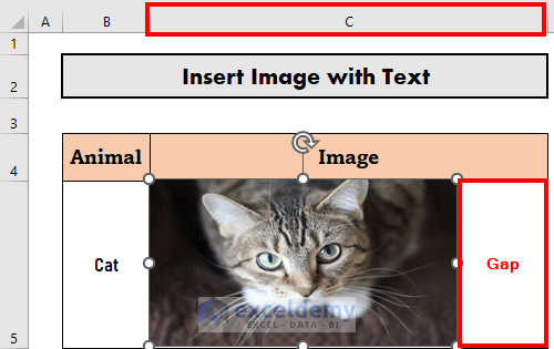 how to insert picture in excel cell with text