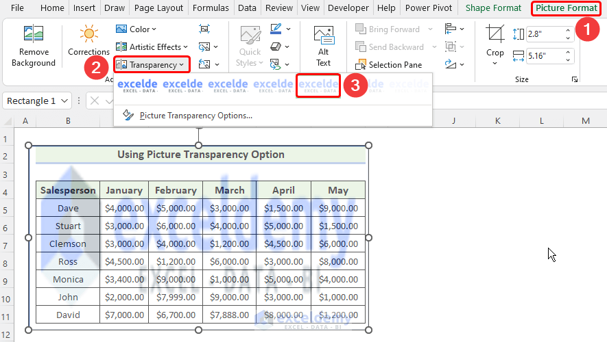 How to Make Picture Background Transparent in Excel (2 Methods)