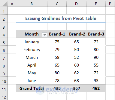 Erasing Gridlines From Pivot Table in Excel