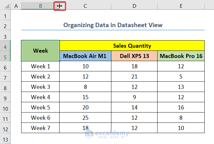 Organizing Data in Datasheet View of Excel