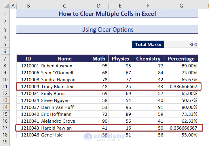 Output after Clearing Cell Formats