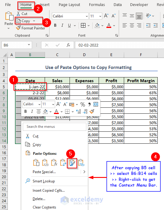 How to Use Paste Options to Copy Formatting in Excel