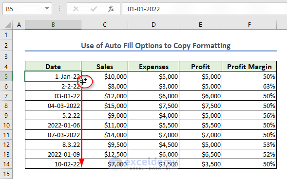 Using the Fill Handle icon in Excel