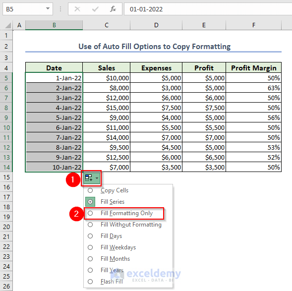 How to Use Auto Fill Options to Copy Formatting in Excel