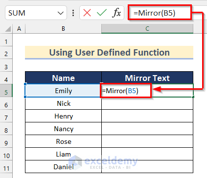 Applying User Defined Function to Mirror Text in Excel