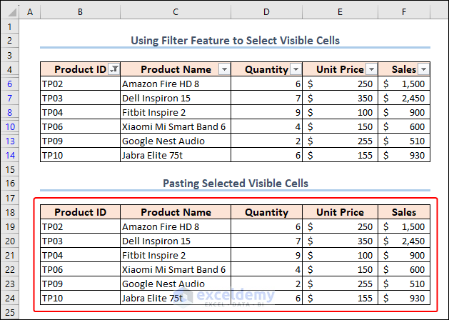 pasting selected visible cells in Excel