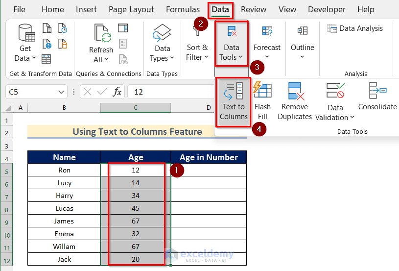 Opening Text to Columns box to Input Range Containing Non Numeric Data in Descriptive Statistics