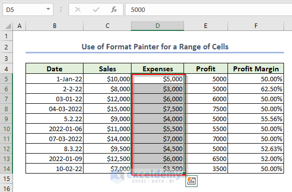 Use of Format Painter for a Range of Cells