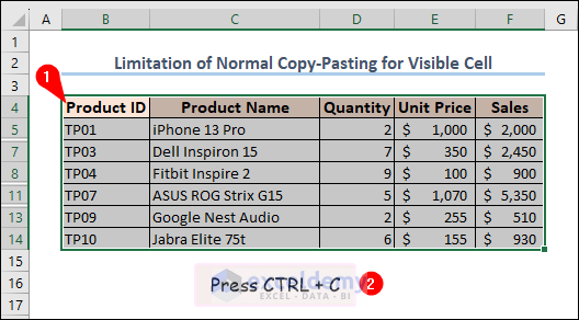 copying visible cells in Excel