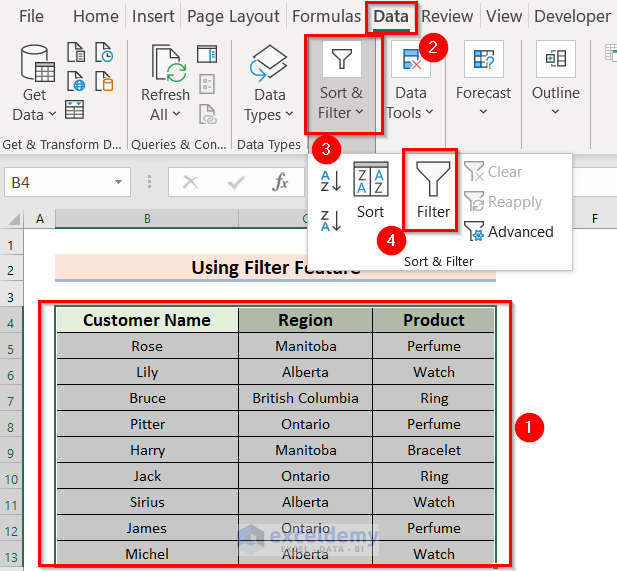 Applying Filter Icon to Create a Filtering Search Box for Your Excel Data