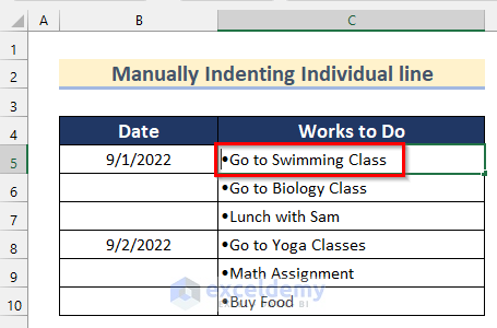 Manually Indenting Bullet Points in Excel
