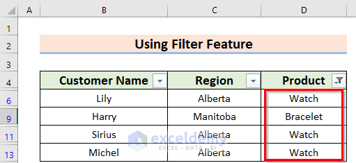 Result of Applying Filter Feature to Create a Filtering Search Box for Your Excel Data