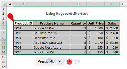 selecting visible cells using semicolon key with ALT key