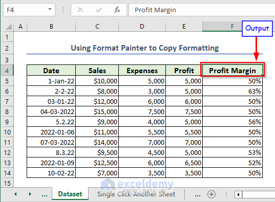 showing output after copying format