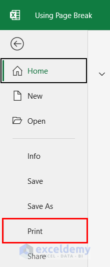 Inserting Page Break in Excel