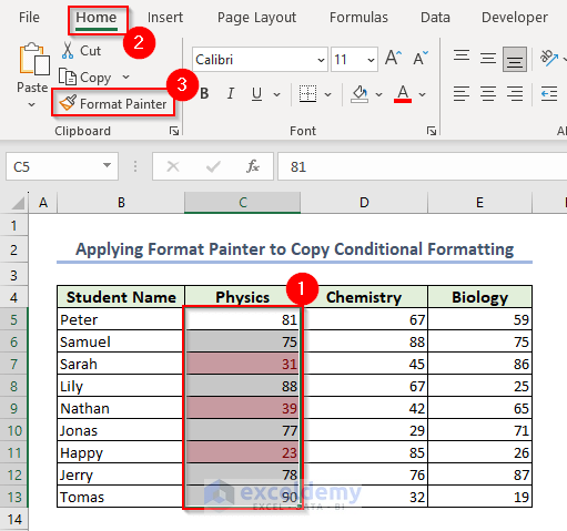 Apply Format Painter to Copy Conditional Formatting in Excel