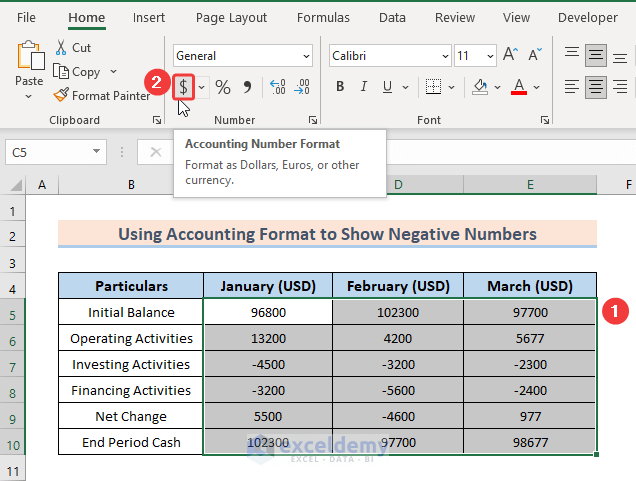 Applying Accounting Format on Numbers