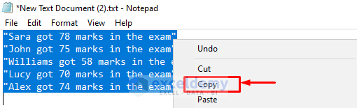 Copy the Result from Text Editor