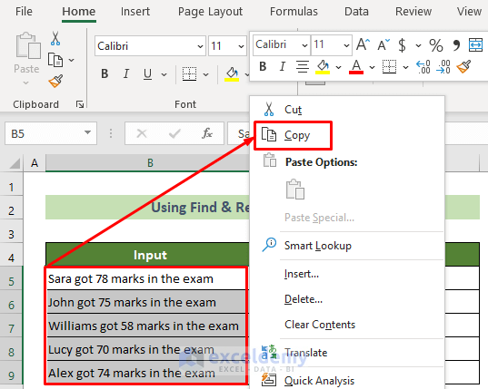 Copy the Inputs to Find and Replace Tab Character in Excel