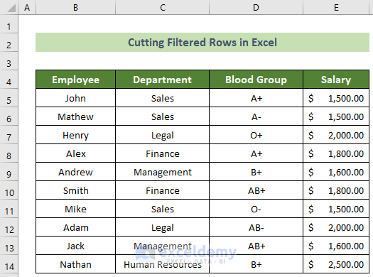 Sample Dataset to Cut Filtered Rows in Excel