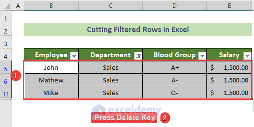 Delete the Filtered Rows to Cut Filtered Rows in Excel