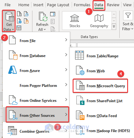 Access to the Microsoft Query Option