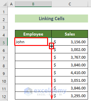 Drag Fill Handle to Mirror Data in Excel