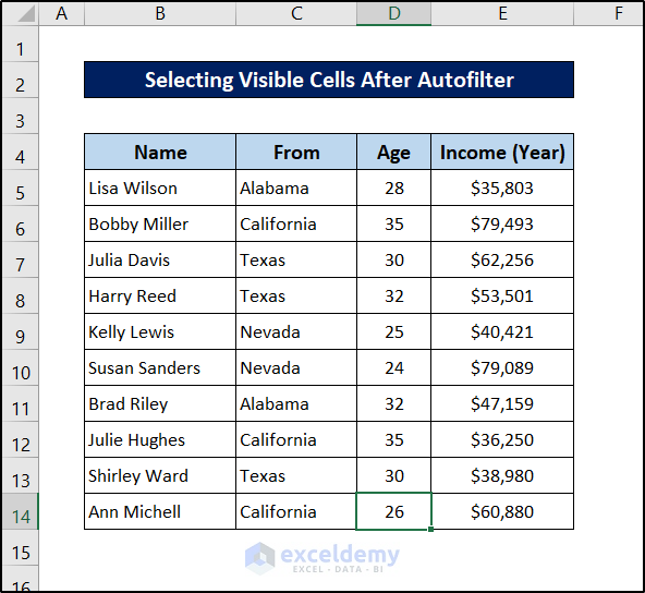 dataset to select visible cells after autofilter using excel vba