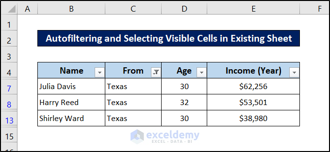 excel vba select visible cells after autofilter