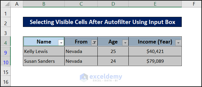 select visible cells after using autofilter using excel vba