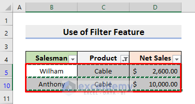 Apply Filter Feature in Excel to Move Row to Another Sheet Based on Cell Value